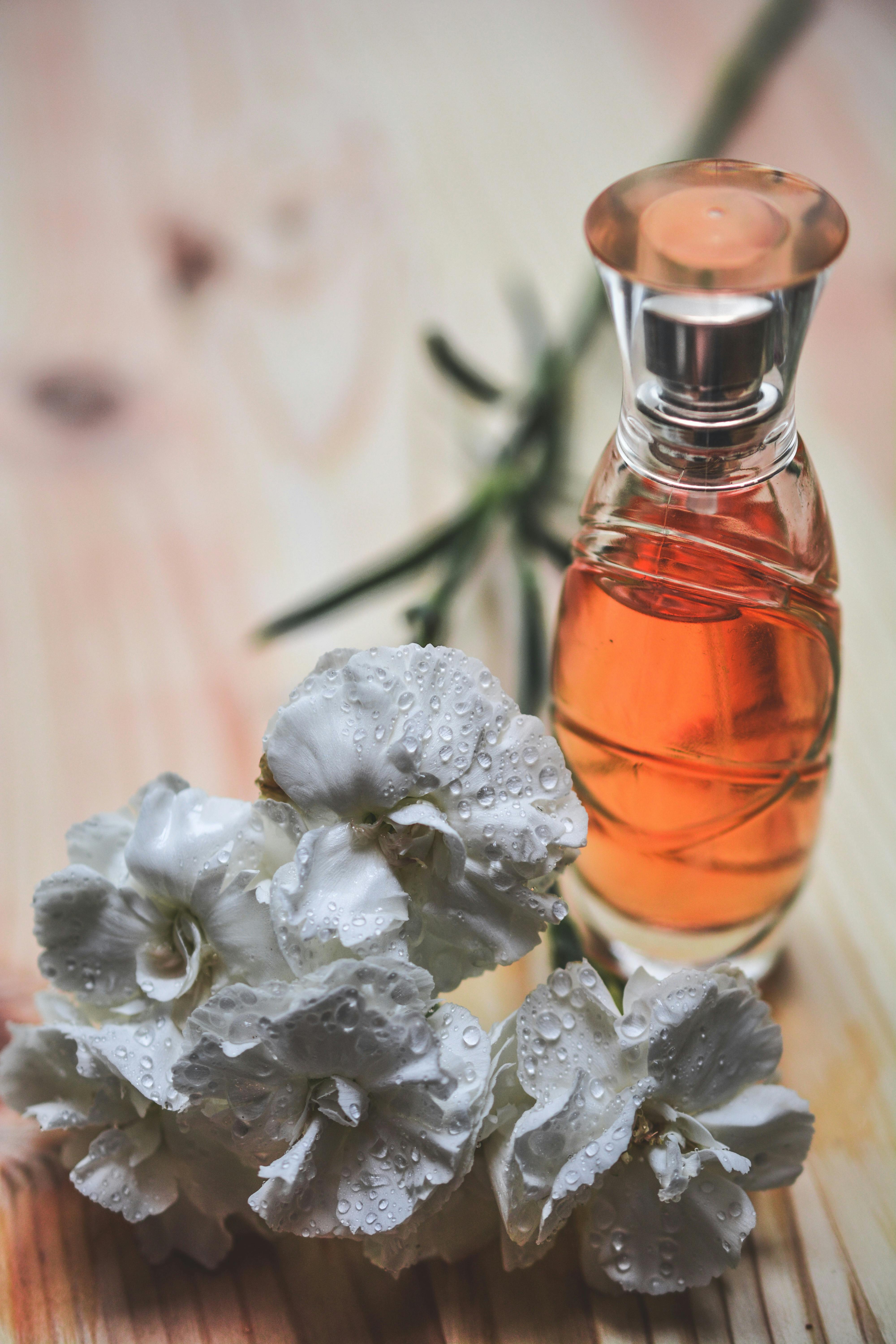 Close-up of fresh white flowers used in natural fragrance extraction.